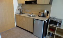 Furnished Studio on Aspen Suites