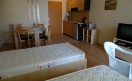 Furnished Studio on Aspen Suites