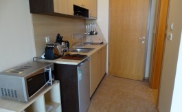 Furnished Studio on Aspen Suites