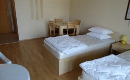 Furnished Studio on Aspen Suites