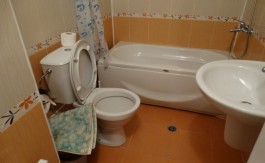 Furnished studio on Four Leaf Clover