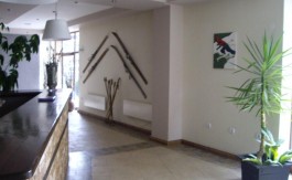 Fully Furnished 1 bed Apartment