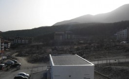 Furnished 1 bed on Pine Trees Residence