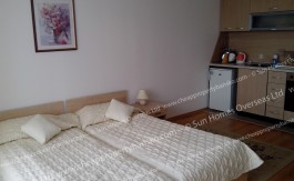 Furnished Studio on Aspen Golf